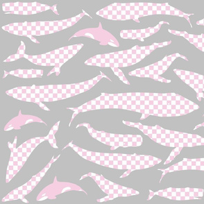 Whale shade of grey and pink, gingham style!