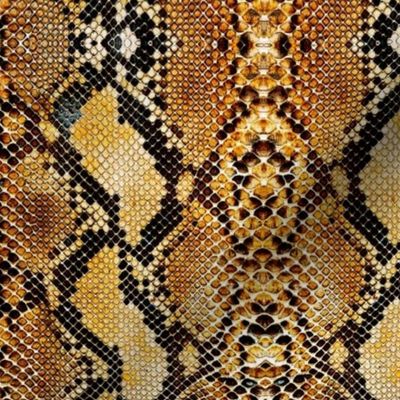  Rattlesnake Skin