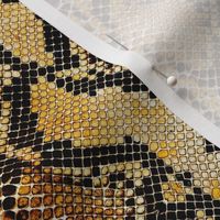  Rattlesnake Skin