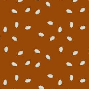 Pumpkin Seeds - Brown