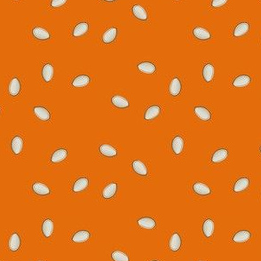 Pumpkin Seeds - Dark Orange