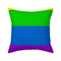 03149617 : rainbow flag 6 : yard