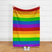 03149617 : rainbow flag 6 : yard