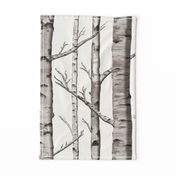 Birch Grove Fabric and Wallpaper in Warm Grey and Linen White