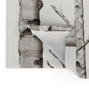 Birch Grove Fabric and Wallpaper in Warm Grey and Linen White