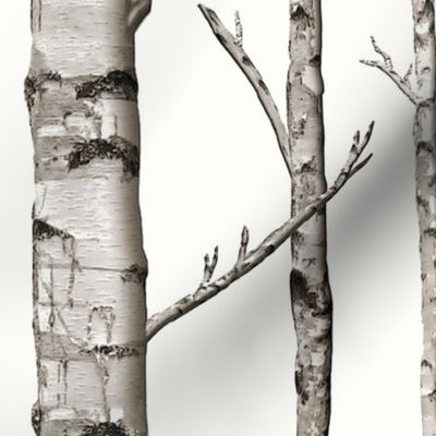 Smaller Scale Birch Grove in Warm Grey and Linen White