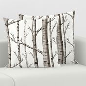 Smaller Scale Birch Grove in Warm Grey and Linen White