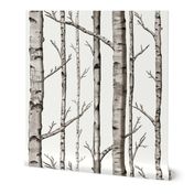 Smaller Scale Birch Grove in Warm Grey and Linen White