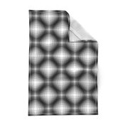 03152555 : checkered lens