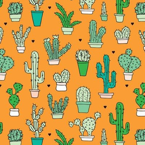 Cactus garden from Mexico orange