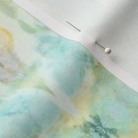 Shibori Aqua Watercolor | Michelle Mathis