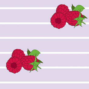 Raspberry Stripe