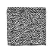 quasicrystal stars (B&W)