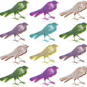 stereo birds