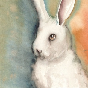 Portrait of a White Rabbit