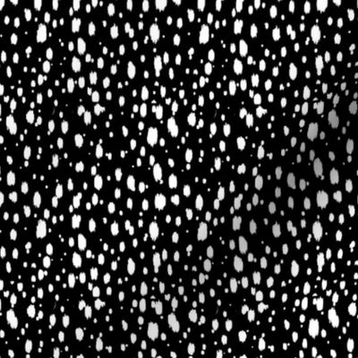 Black and White Abstract Dots