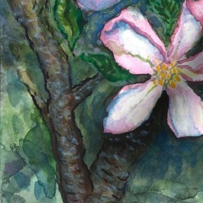 Watercolor Apple Blossoms 1