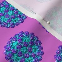 purple norovirus