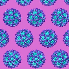 purple norovirus