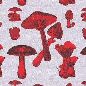 Mushroom Reds