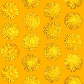 dandelions on saffron