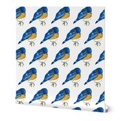 Bluebirds