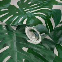 Emerald Monstera