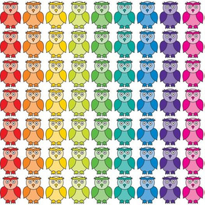 Rainbow Owl Pattern