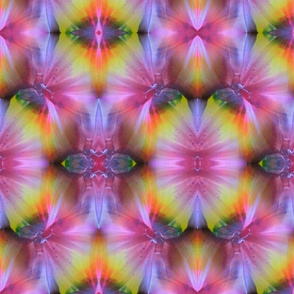 encaustic_rainbow_distorted_flower