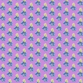 Blue_Lupine_-_Lavender_Back