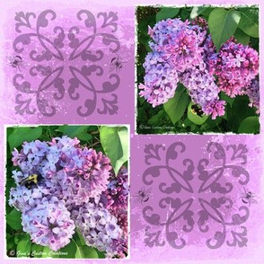 Purple Lilacs & BumbleBees