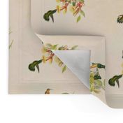 Iridescent hummingbirds with pastel blooms on a vintage parchment backdrop.