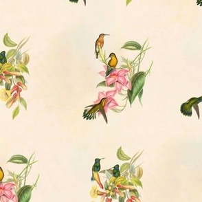 Iridescent hummingbirds with pastel blooms on a vintage parchment backdrop.