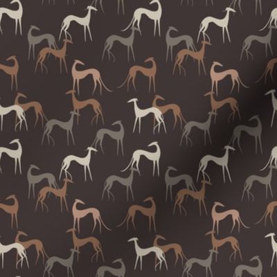 Sighthounds brown-SMALL