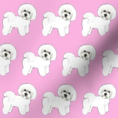 Bichon Frise dog Pink Madness