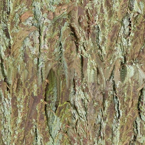 Bark