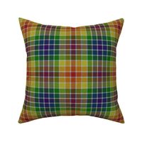 Rainbow Plaid 1