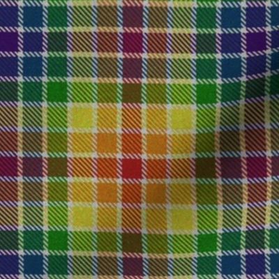 Rainbow Plaid 1