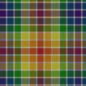 Rainbow Tartan Fabric, Wallpaper and Home Decor