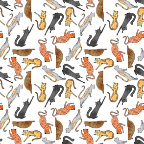 Cat Pattern