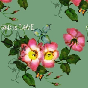 Wild Roses God is Love