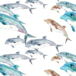 Blue Dolphins Swim