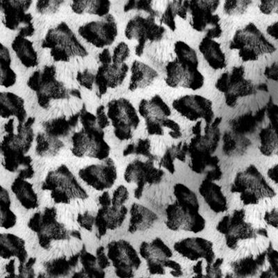 Luxe Leopard ~ Black and White