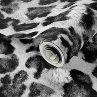 Luxe Leopard ~ Black and White