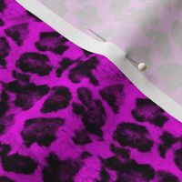 Luxe Leopard ~ Black and Coquette Pink
