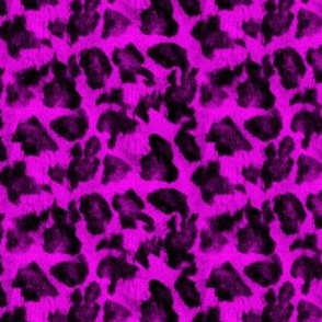 Luxe Leopard ~ Black and Coquette Pink