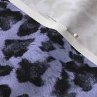 Luxe Leopard ~ Black and Regency Blue