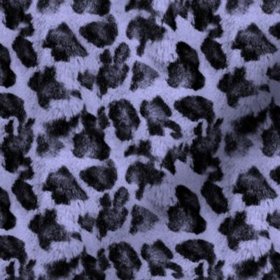 Luxe Leopard ~ Black and Regency Blue