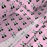 Pandas on Pink