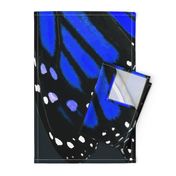  Blue Monarch Butterfly Wings